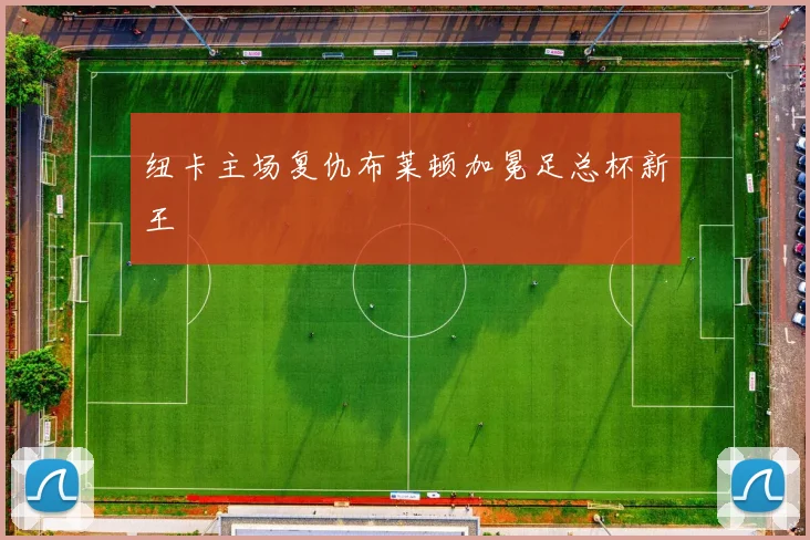 纽卡主场复仇布莱顿加冕足总杯新王
