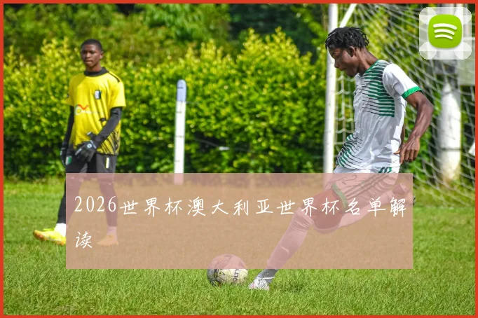 2026世界杯澳大利亚世界杯名单解读