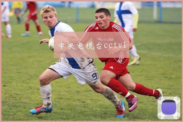 中央电视台cctv1