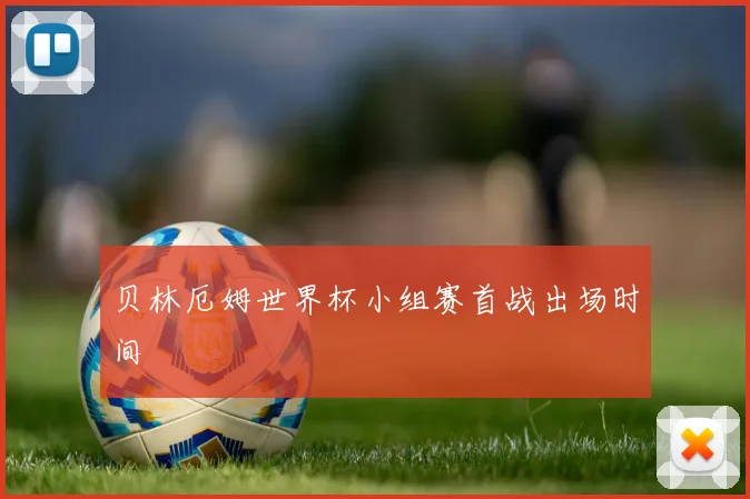 贝林厄姆世界杯小组赛首战出场时间